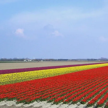 Zonnewende 16 Lägenhet *