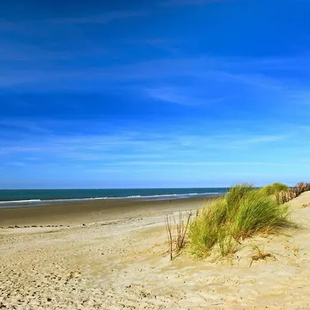 Zonnewende 16 Lägenhet