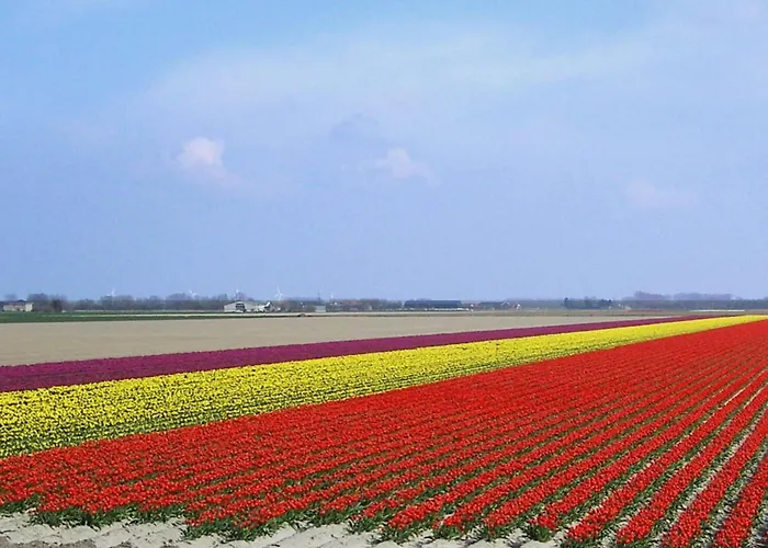 Zonnewende 16 Lägenhet *