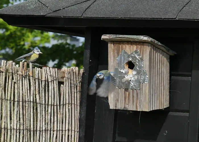 Lägenhet Zonnewende 16 *