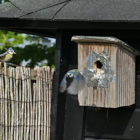 Apartamento Zonnewende 16 *